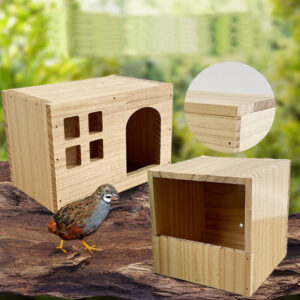 solid wood button quail house | safe breeding hideout for small birds