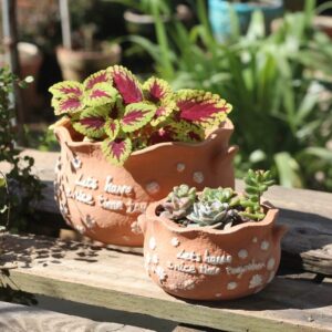 rustic embossed terracotta succulent pots for breathable outdoor planters