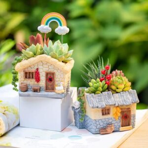vintage farmhouse cottage succulent planter pot for mini plants