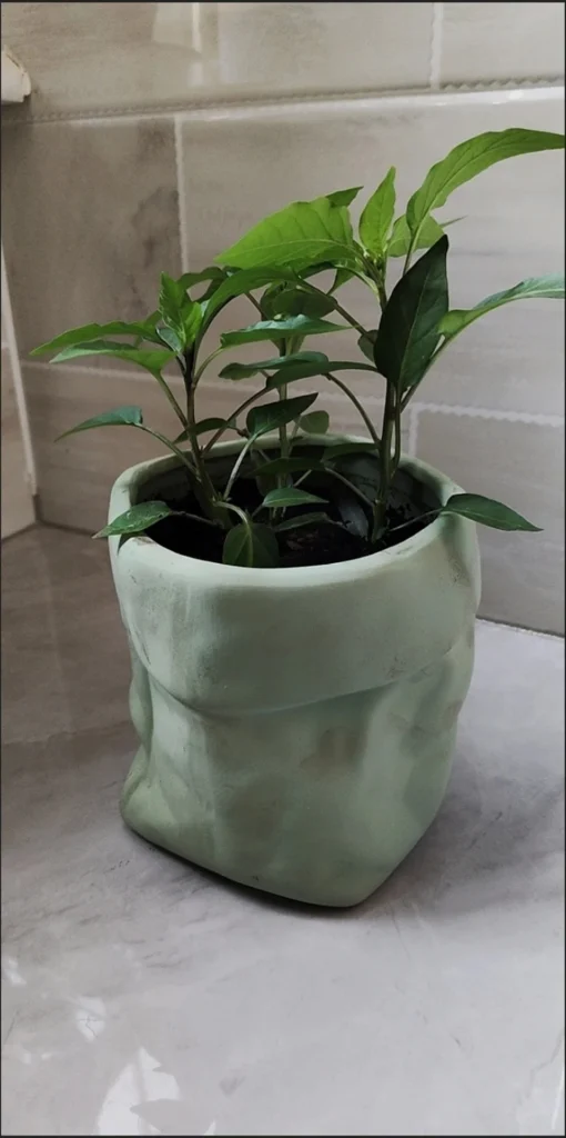 Image #1 from Alexis Barnaby