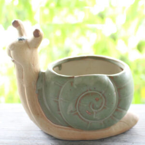 Large Green Snail Succulent Pot