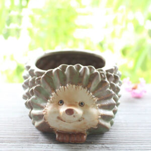 Small Green Hedgehog Succulent Pot