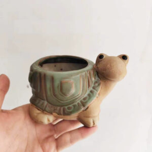 Small Green Turtle Succulent Pot