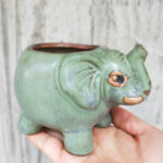 SKU Animal Succulent Planters 27 150x150