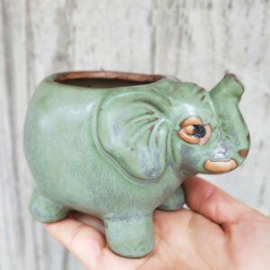 Dumbo Green Elephant Succulent Pot