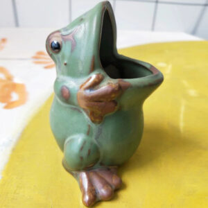 Small Green Open Mouth Frog
