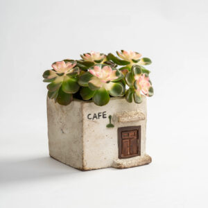 Rustic Cafe Brown Door Succulent Planter