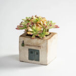 SKU Cafe House Succulent Pot 02 150x150