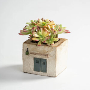 Rustic House Blue Door Succulent Planter