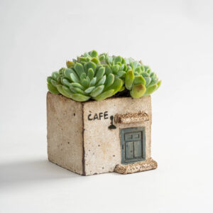 Rustic Cafe Blue Door Succulent Planter