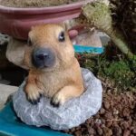 SKU Capybara Garden Decor 01 150x150