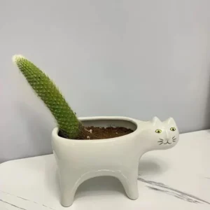 White Cat Planter