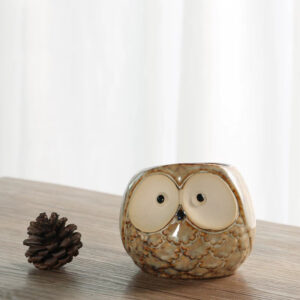Round Vintage Owl Planter with Hole