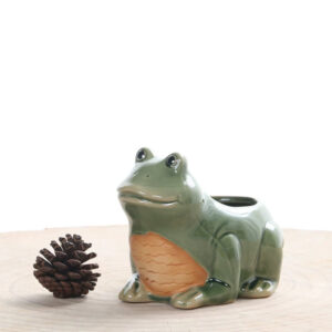 Smiling Green Frog Planter with Hole
