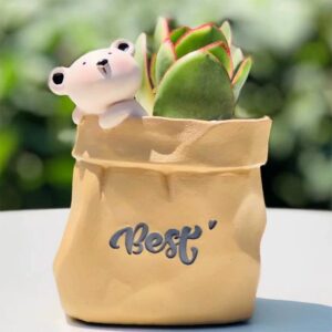 Tan Bear Succulent Planter Set
