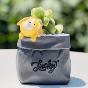 Gray Dog Succulent Planter Set
