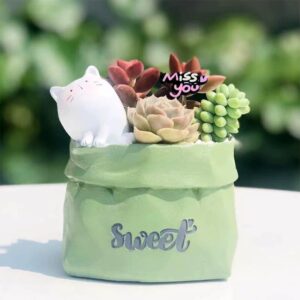 Green Cat Miss You Planter Set