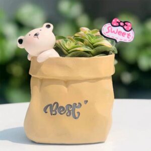 Tan Bear Sweet Bow Planter Set