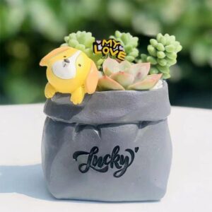 Gray Dog My Love Planter Set