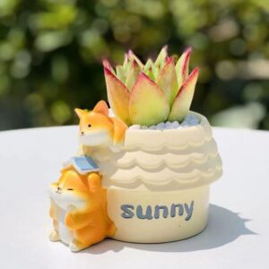 Cream House Dog Succulent Set