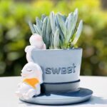 SKU Cute Animal Succulent Planter 24 150x150