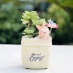 SKU Cute Animal Succulent Planter 25 150x150