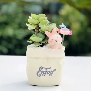 Cream Rabbit Enjoy Life Planter Set