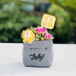 Gray Dog Future Planter Set