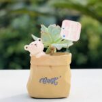 SKU Cute Animal Succulent Planter 28 150x150