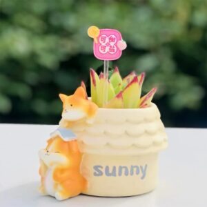 Cream House Dog Sweet Salty Set