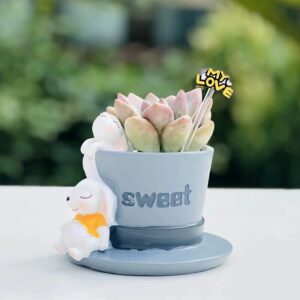 Gray Top Hat Rabbit My Love Set
