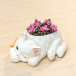 SKU Cute Cat Succulent Planter 02 1 150x150