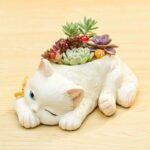 SKU Cute Cat Succulent Planter 03 1 150x150