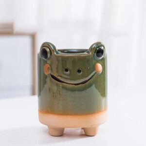 Green Frog Succulent Planter