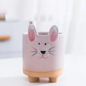 Pink Rabbit Succulent Planter