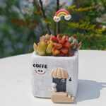 SKU Cute House Succulent Pot 07 150x150