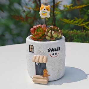 Sweet Dog Succulent Kit Orange Cat
