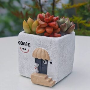 Coffee Cat Succulent Planter Kit