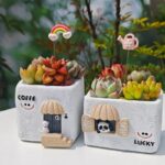SKU Cute House Succulent Pot 12 150x150