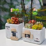 SKU Cute House Succulent Pot 13 150x150
