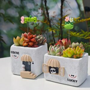 Panda Cat Planter Rainbow Frog