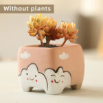 SKU Cute Succulent Pot Ceramic 13 150x150