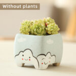 SKU Cute Succulent Pot Ceramic 16 150x150