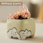 SKU Cute Succulent Pot Ceramic 17 150x150