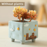 SKU Cute Succulent Pot Ceramic 21 150x150