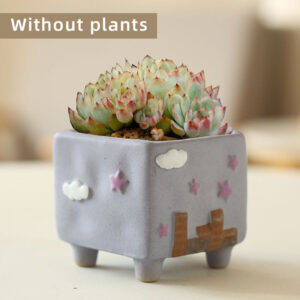 D-Light Blue Star Cloud Planter