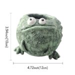 SKU Funny Frog Succulent Planter 04 150x150