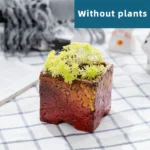 SKU Gradient Square Ceramic Planter 02 150x150