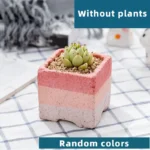 SKU Gradient Square Ceramic Planter 05 150x150