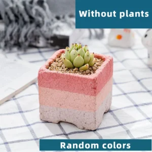 Square Mixed Red Stripe Random colors